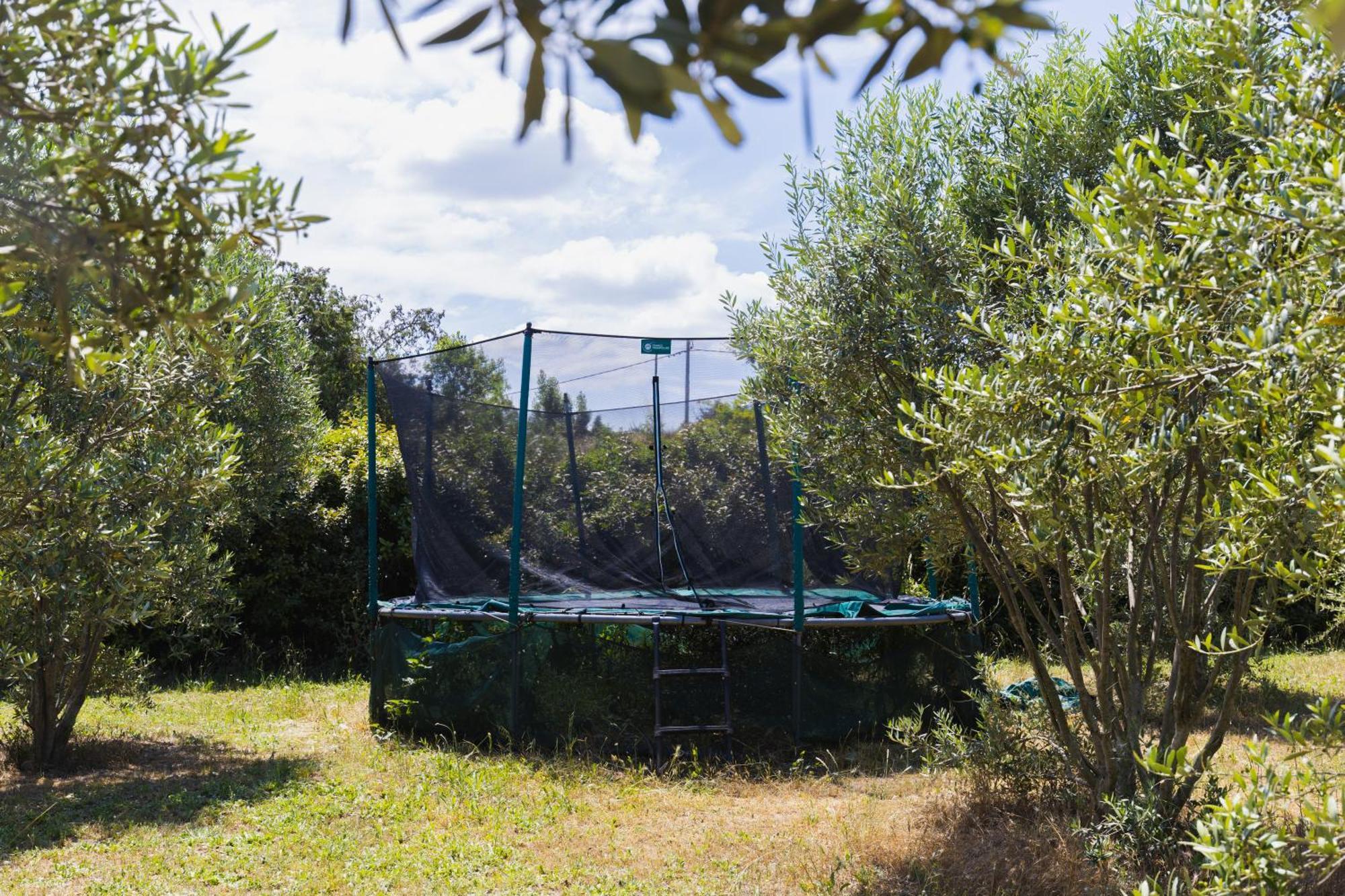 Chambre D'Hotes - B&B - Grand Luberon Chez Manon En Luberon Lagnes 외부 사진